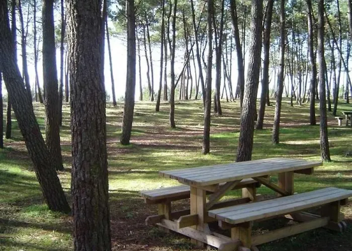 Confortable Et Bien Situé – Plages, Port, Animations à Deux Pas - Fr-1-476-194 * LʼAiguillon-sur-Mer